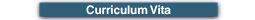 Curriculum Vita